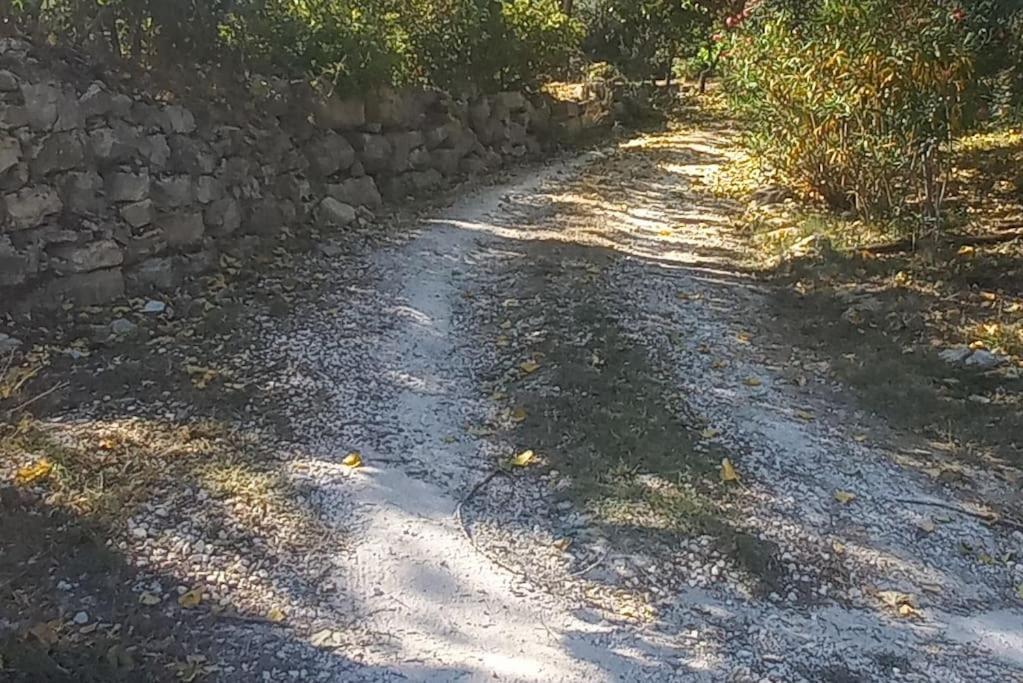 Moradia Na Serra Alcanede Eksteriør billede